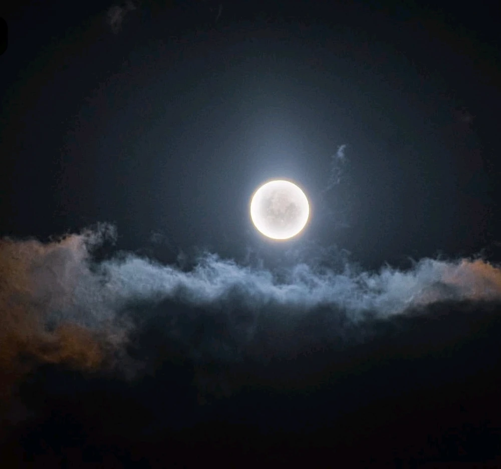 Image uploaded by 🔆🥨🔅Koffy🔅🌰🔆