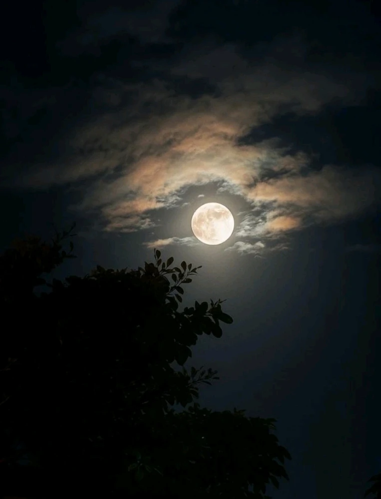 Image uploaded by 🔆🥨🔅Koffy🔅🌰🔆