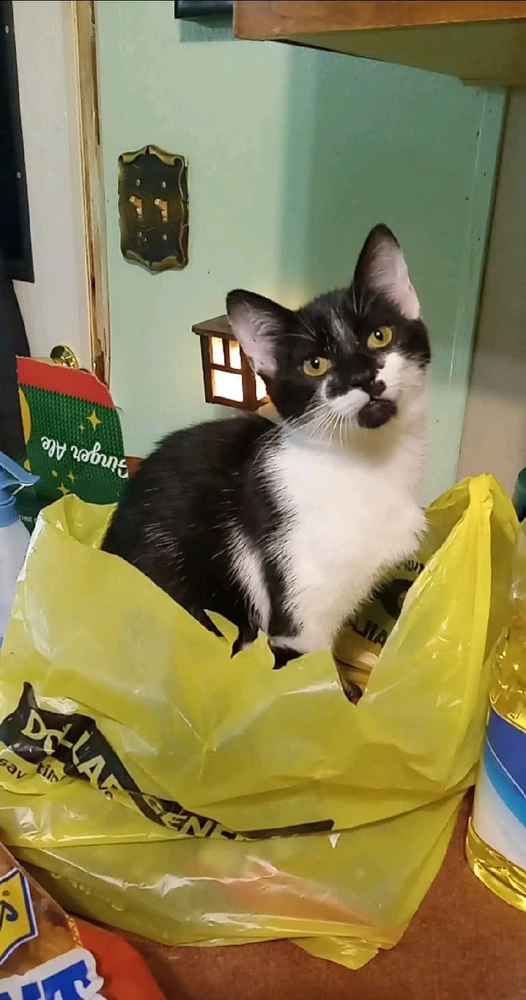 GIF uploaded by Crystal