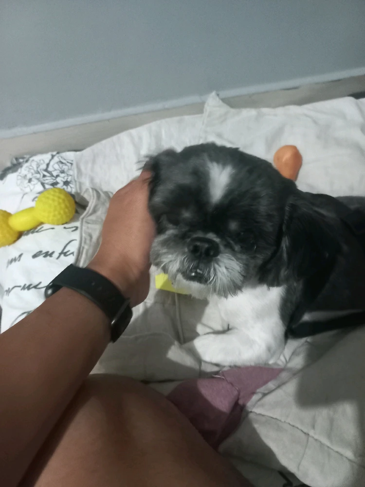 GIF enviado por Viny