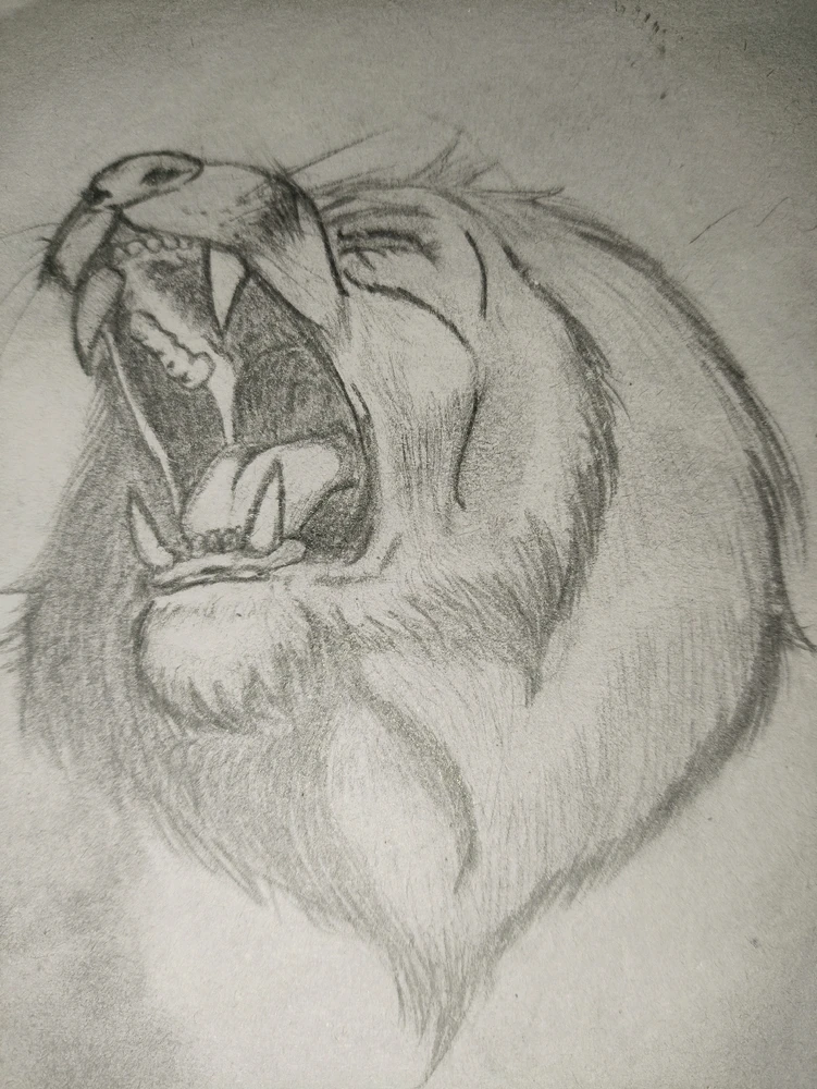 Image uploaded by Fabo