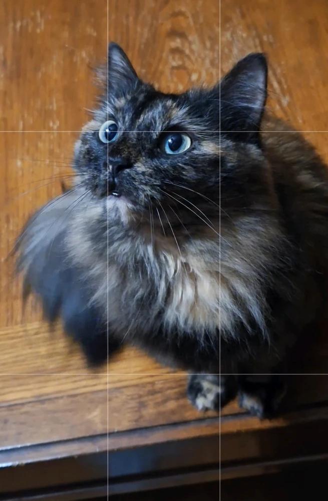 GIF uploaded by Cory