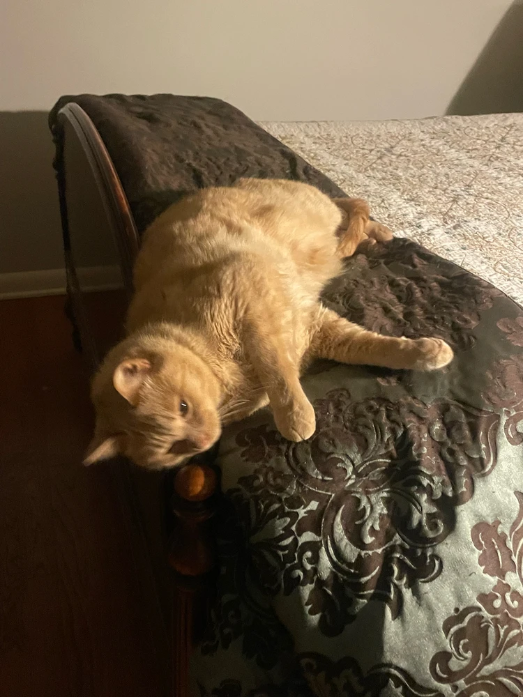 GIF uploaded by Robbie