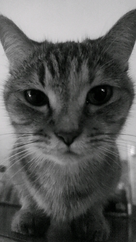 GIF uploaded by ๐ข๐ฎ๐ป๐ฎ๐ท โข ๐ข๐ฎ๐ป๐ฎ๐ท๐ญ๐ฒ๐น๐ฒ๐ฝ๐