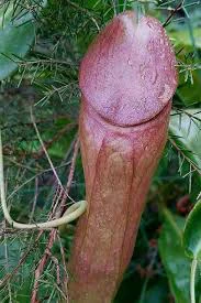 GIF uploaded by George