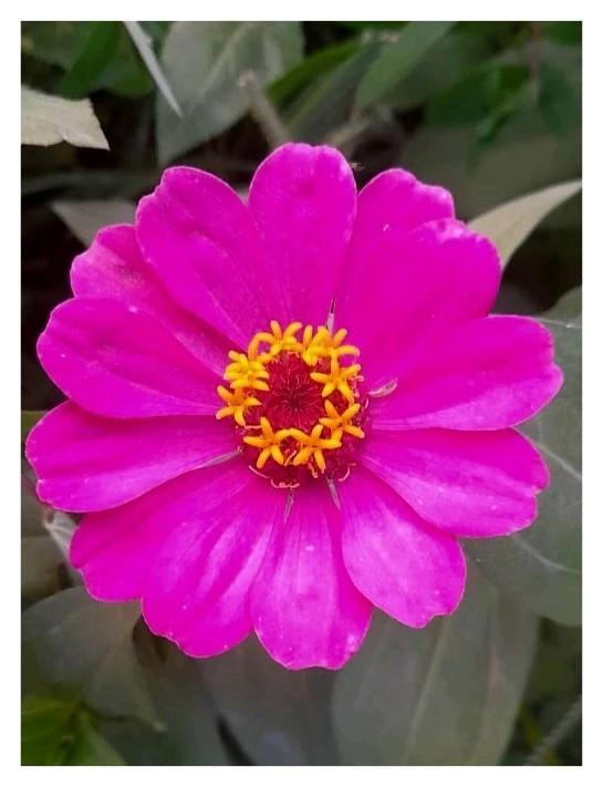 GIF subido por Blanca