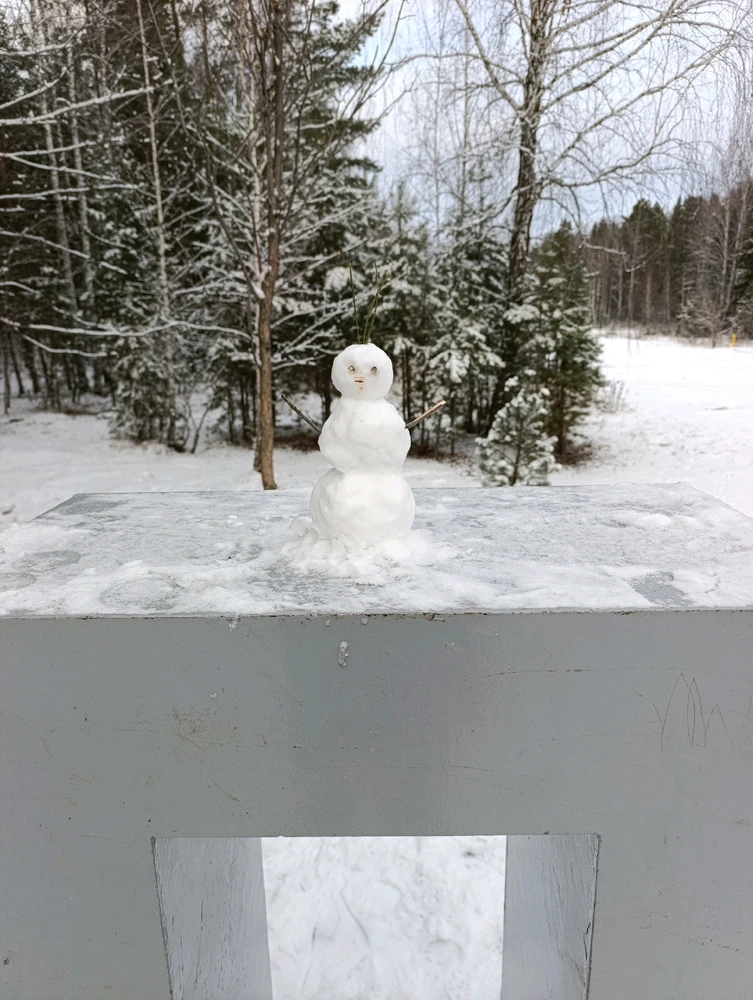 Фото загрузил Александра