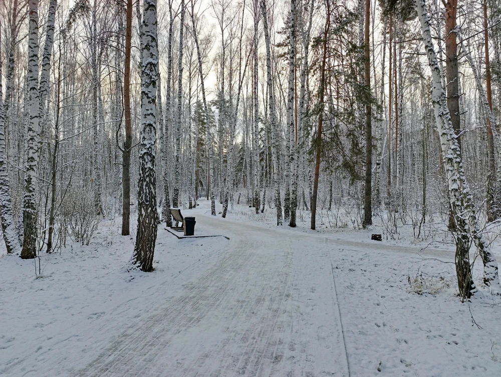 Фото загрузил Александра