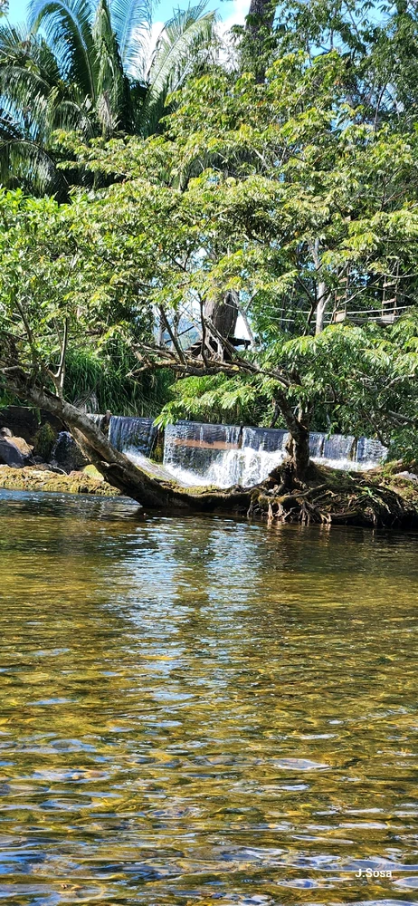 Image uploaded by Shar