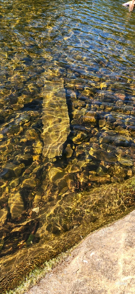 Image uploaded by Shar