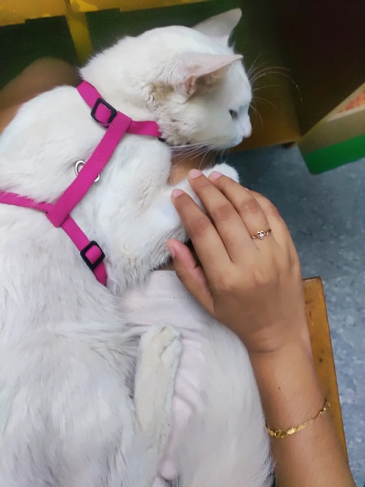 GIF uploaded by Jerry