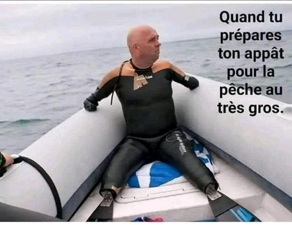 GIF ajouté par Damien