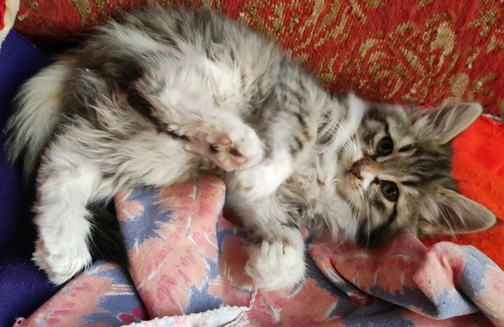 Image uploaded by David