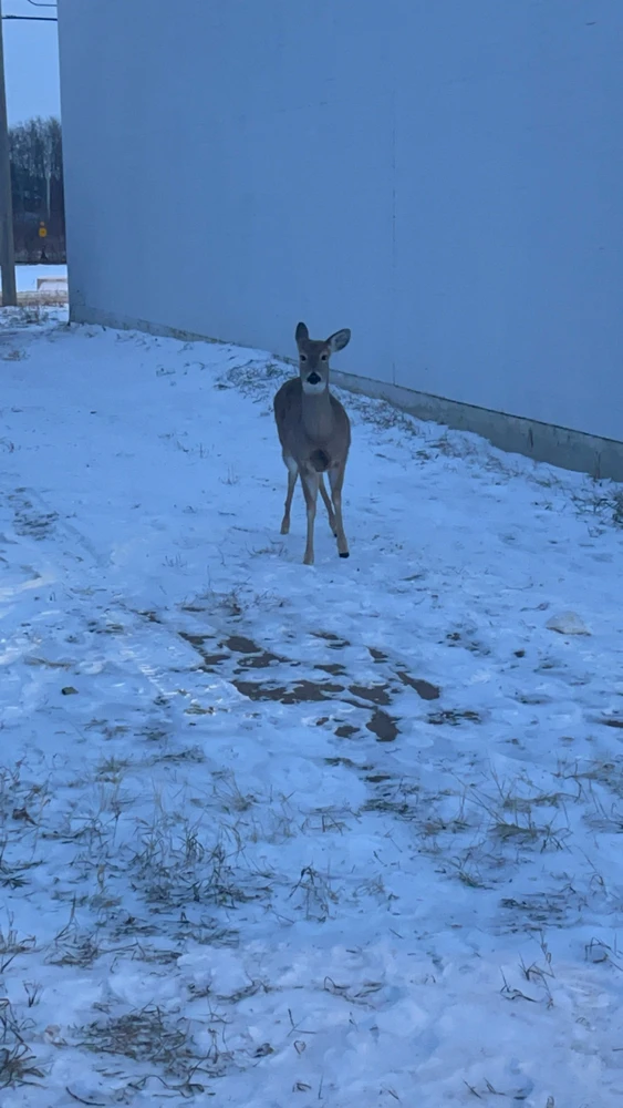 GIF uploaded by Victor