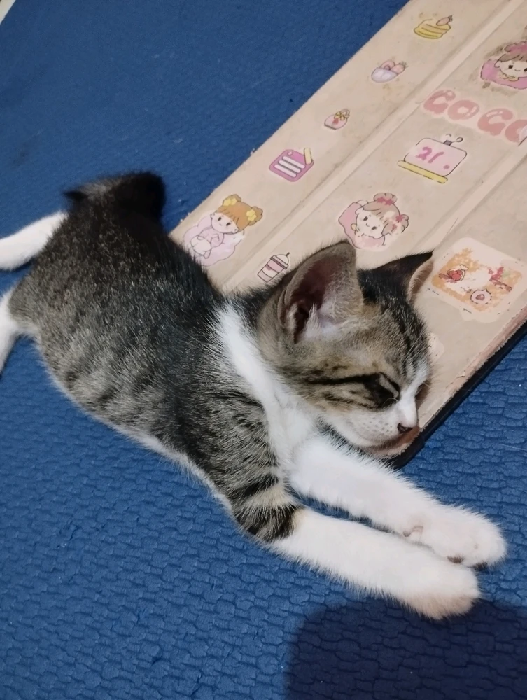 GIF uploaded by RaNdoM