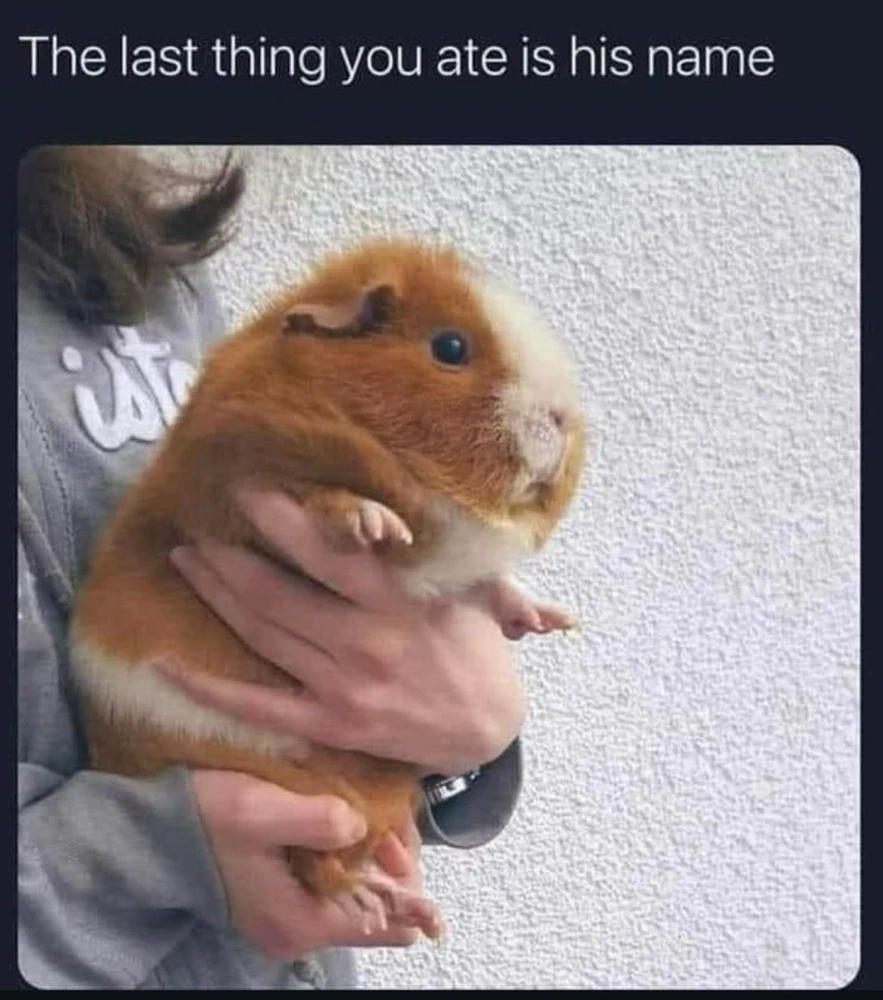 GIF hochgeladen von Tara