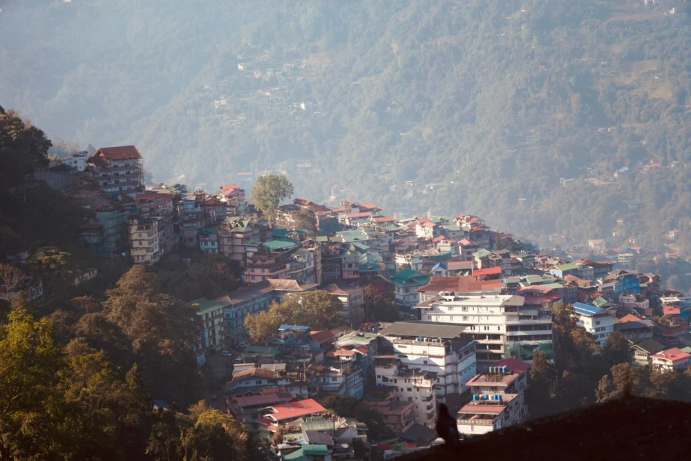 Image uploaded by T T