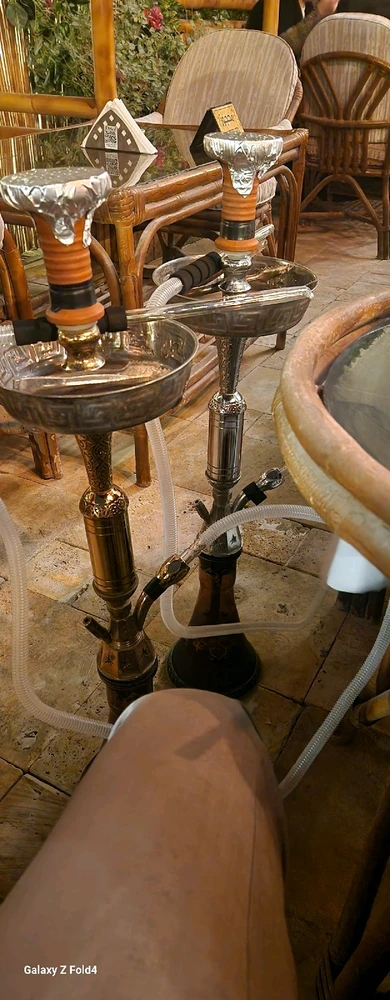 Image uploaded by Viresh Malhotra