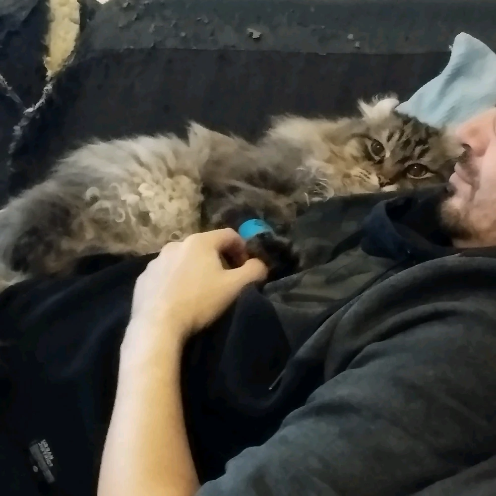 GIF hochgeladen von Raphael