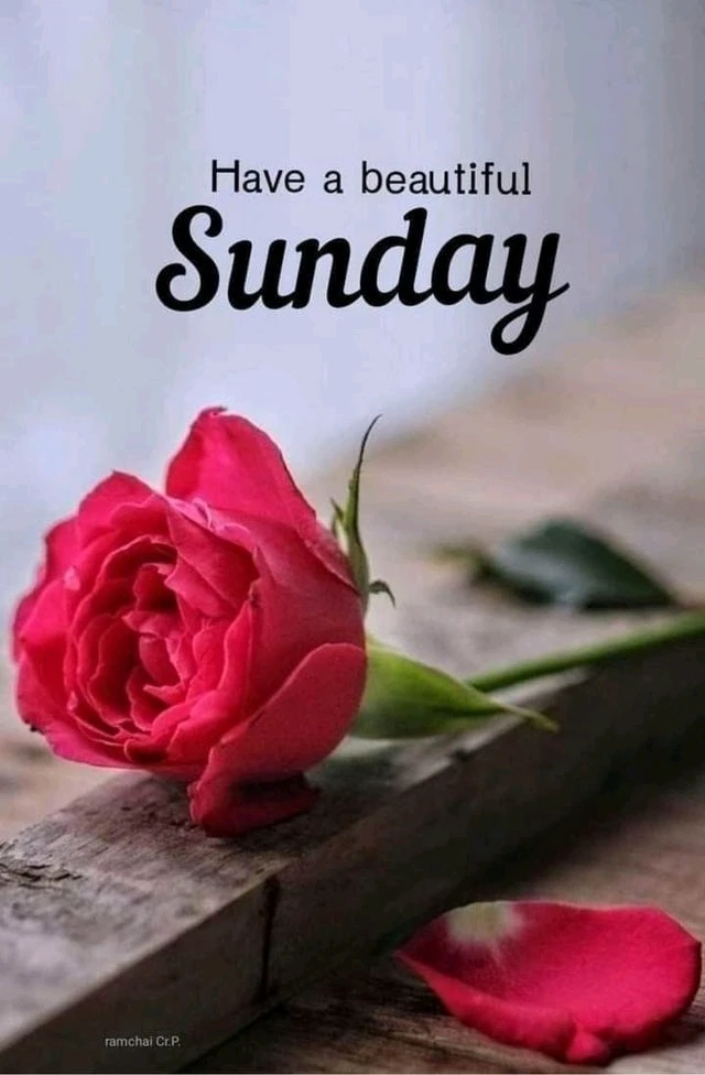 GIF diunggah dening Kostas