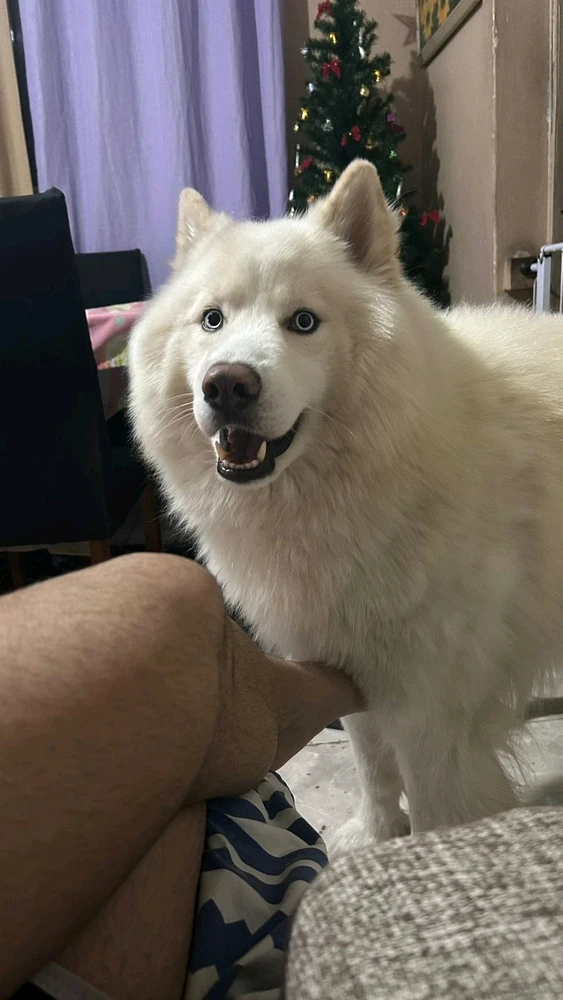 GIF enviado por Robson Izidio