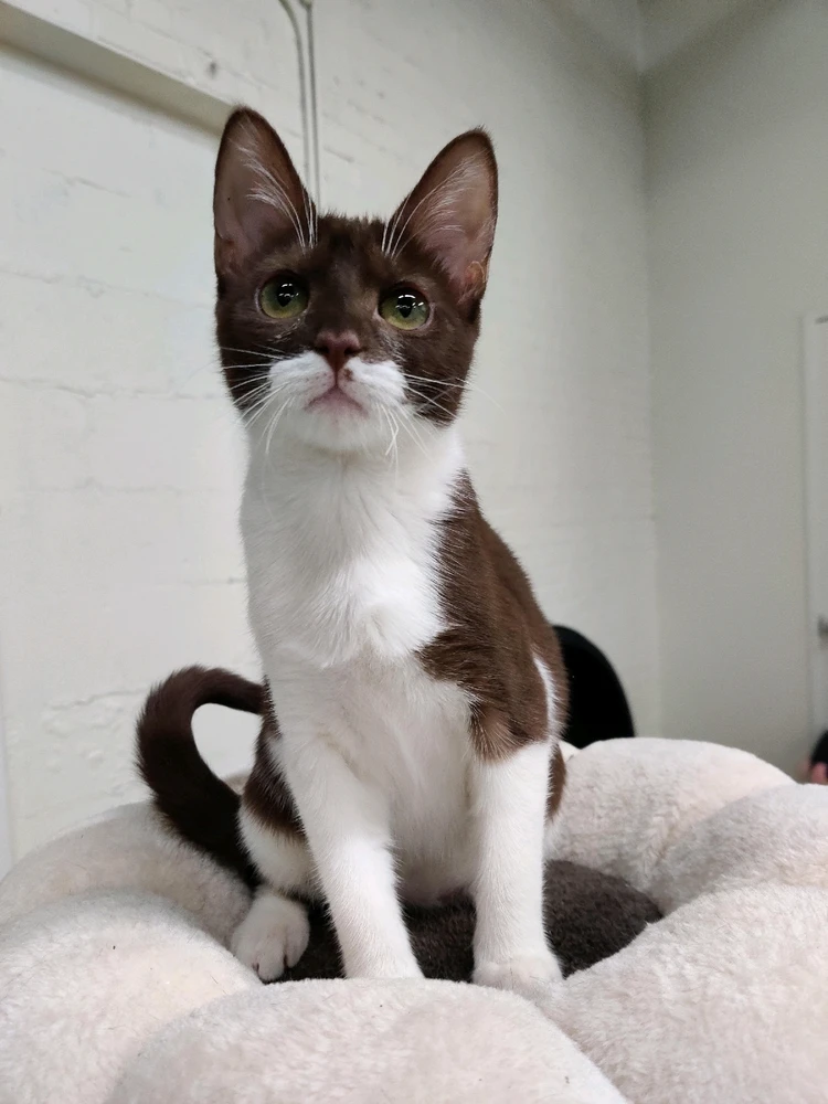 GIF uploaded by 𝓢𝓮𝓻𝓮𝓷 • 𝓢𝓮𝓻𝓮𝓷𝓭𝓲𝓹𝓲𝓽𝔂