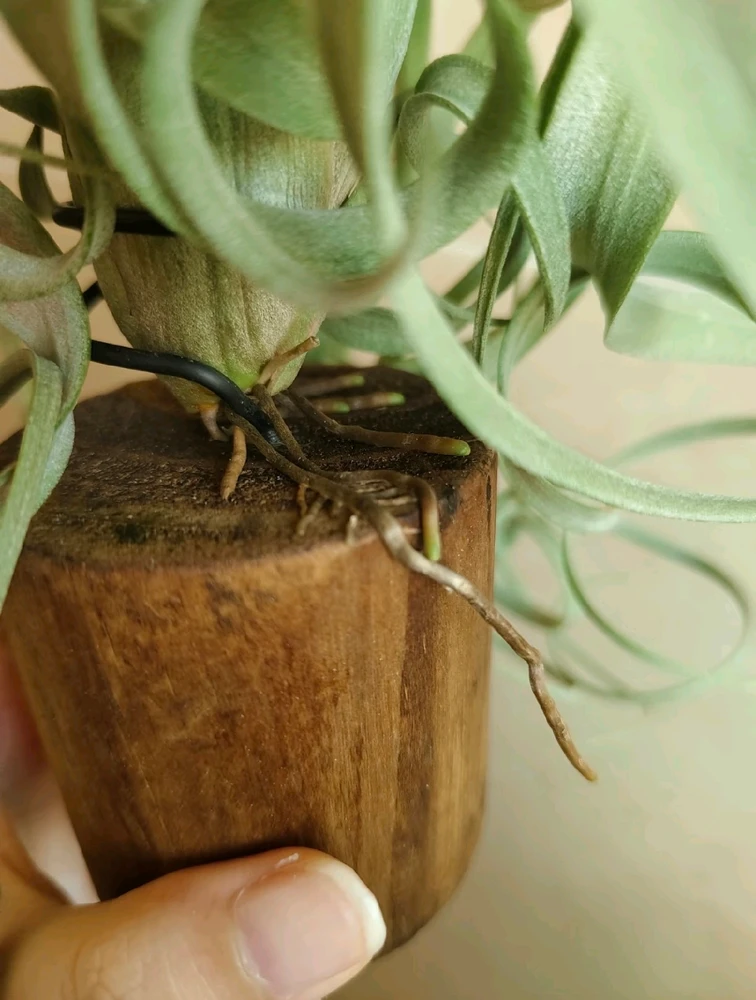 GIF uploaded by Vicky