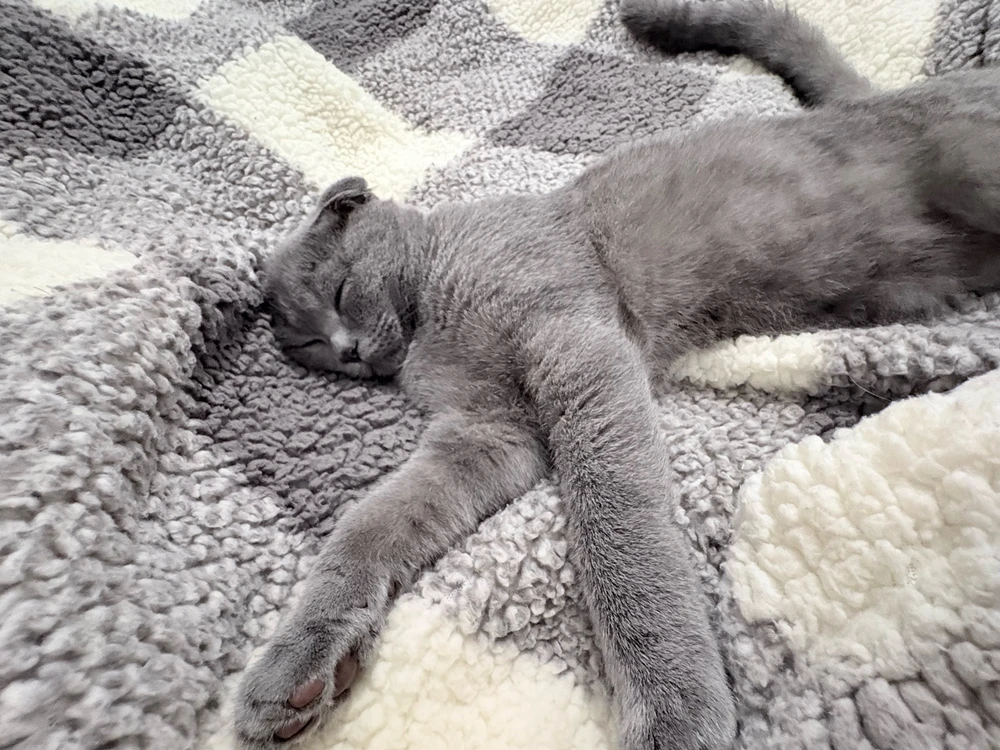 GIF uploaded by Vlasis