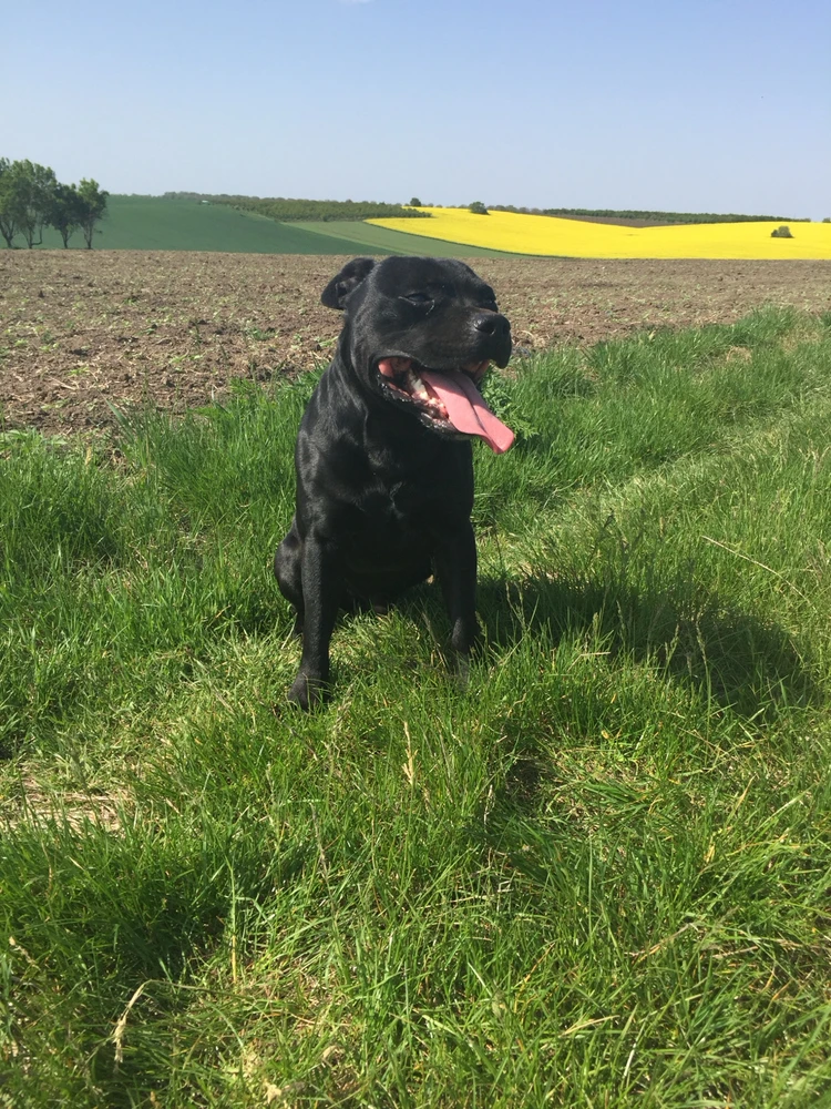 GIF uploaded by Svetlozar