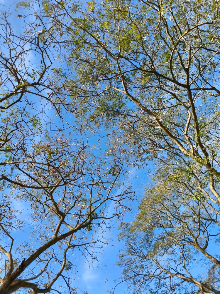 Image uploaded by Lake