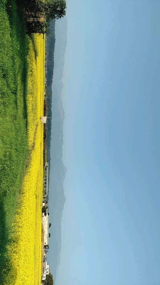 Gambar diunggah dening Bhesu