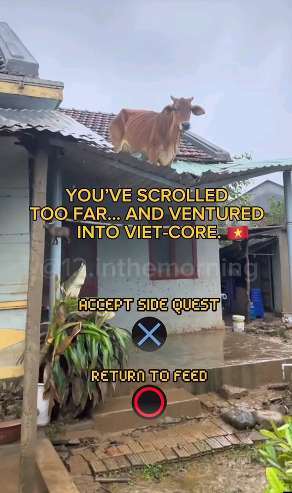 Obrázek nahrál Martin