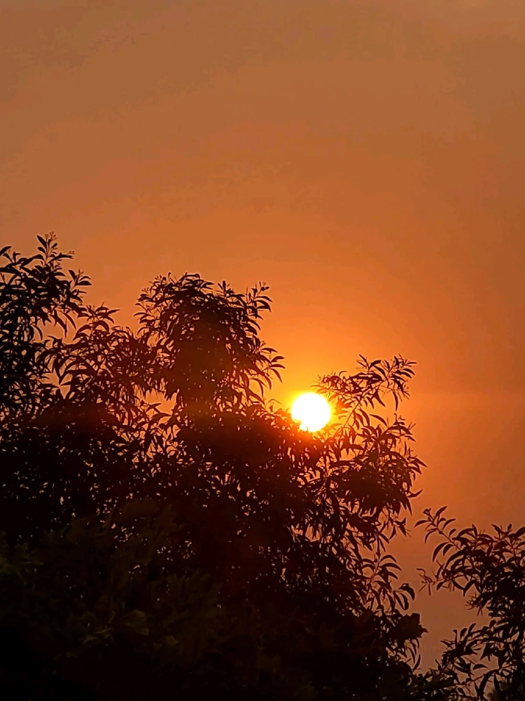 Image uploaded by 💜J💜o💜e💜y💜