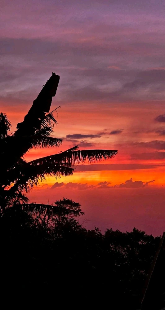 Image uploaded by 💜J💜o💜e💜y💜