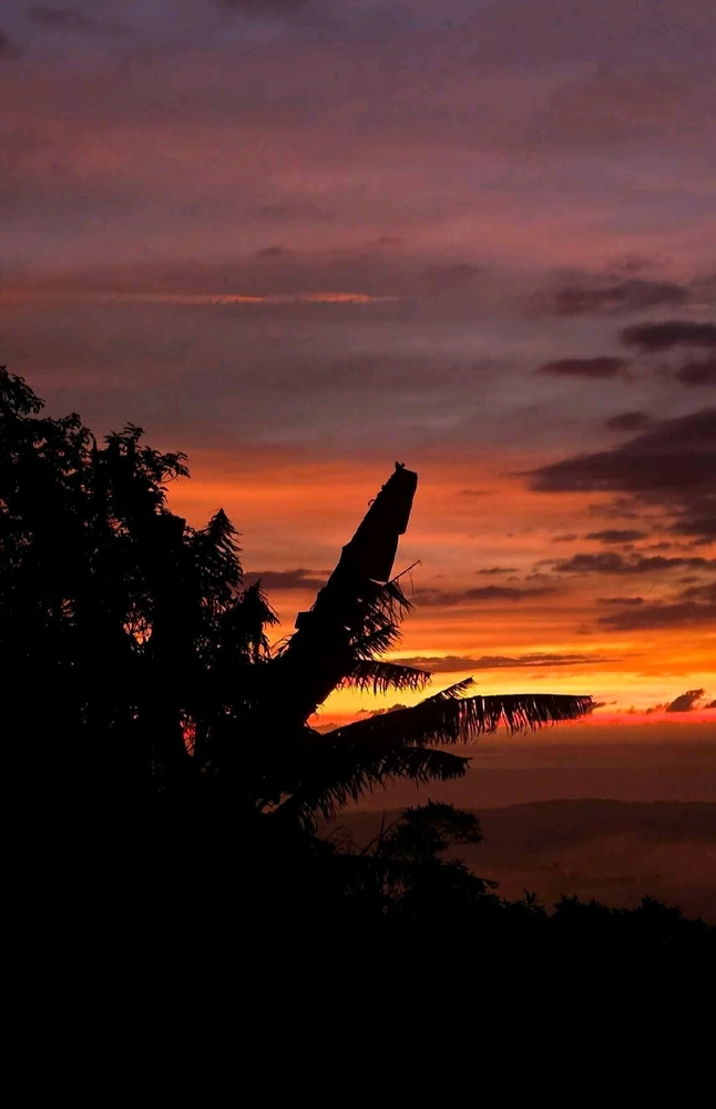 Image uploaded by 💜J💜o💜e💜y💜