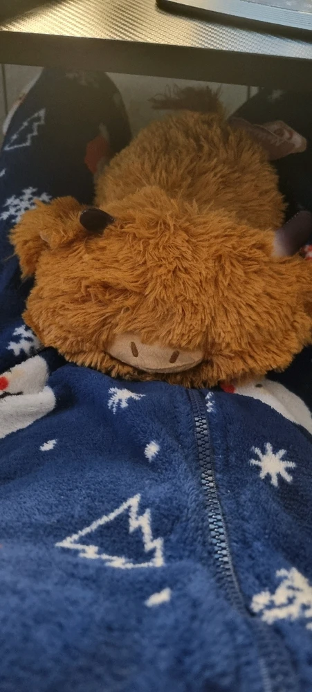 Bild hochgeladen von Riley D Walker