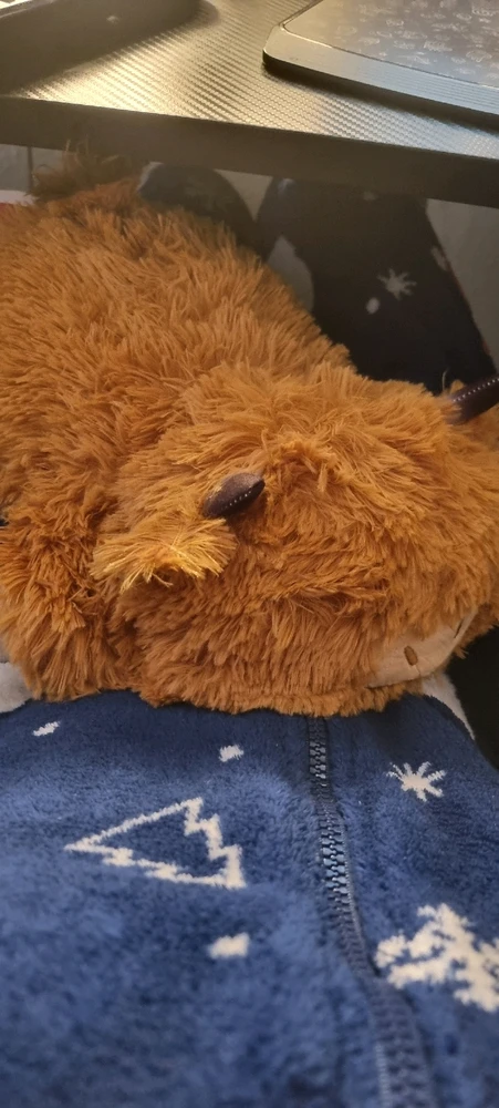 Bild hochgeladen von Riley D Walker