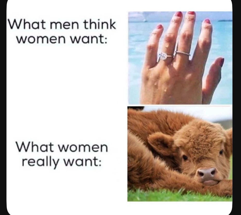 GIF uploaded by πβ¨β³β―ππΆππΎππβ―β¨π