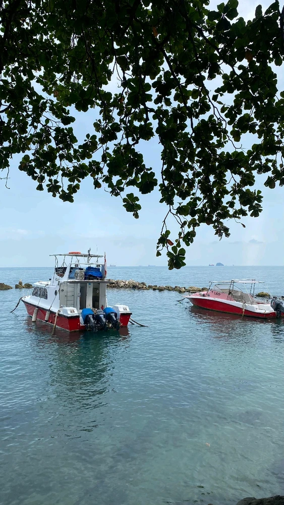 GIF diunggah oleh demie