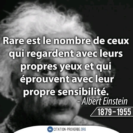 Image ajoutée par Snake