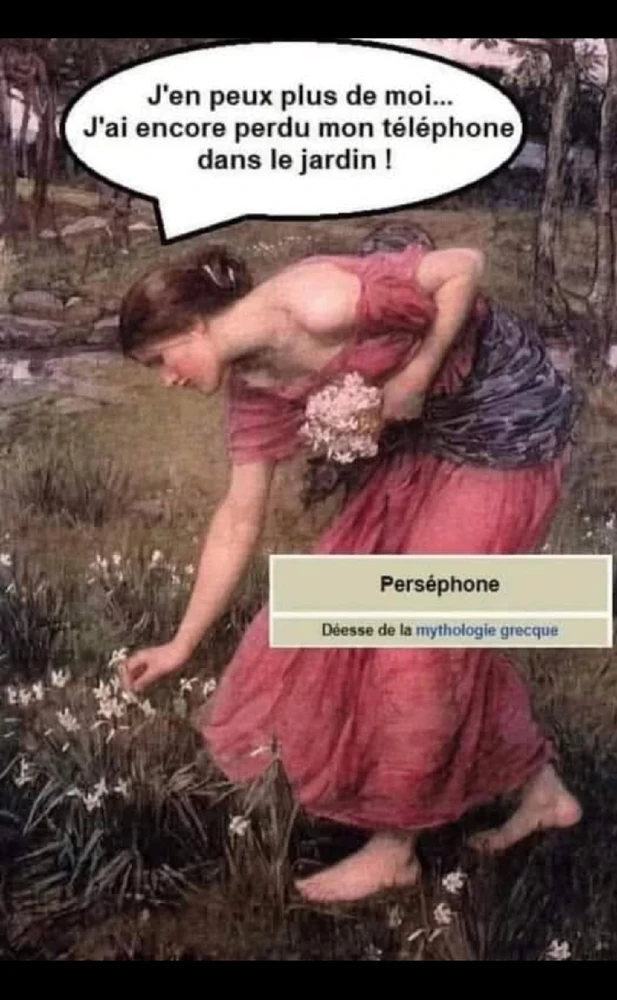 GIF ajouté par Mu 🌿