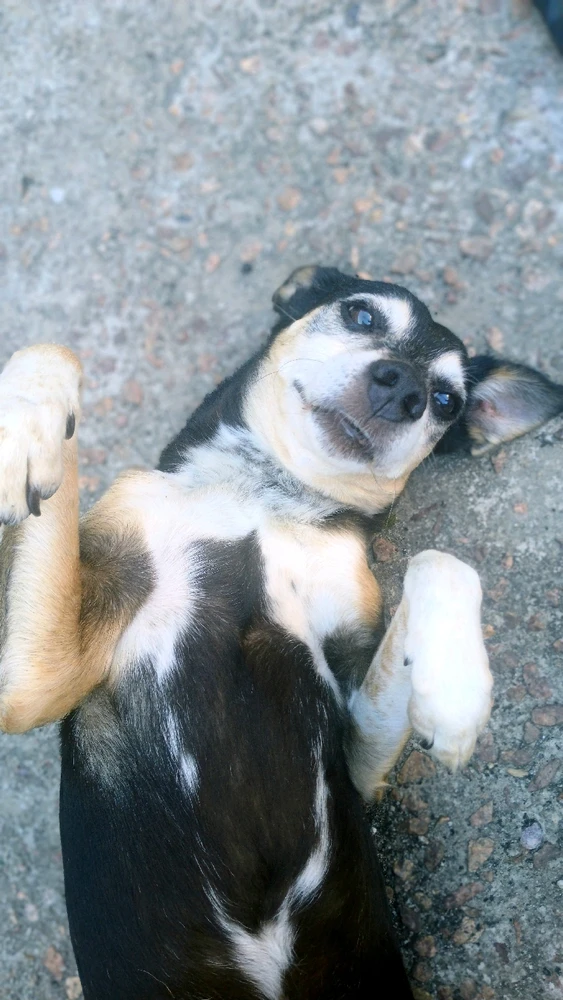 GIF enviado por Michael