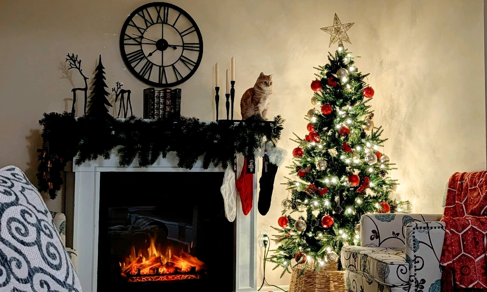 GIF uploaded by Melissa