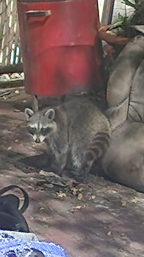 Image uploaded by Nel