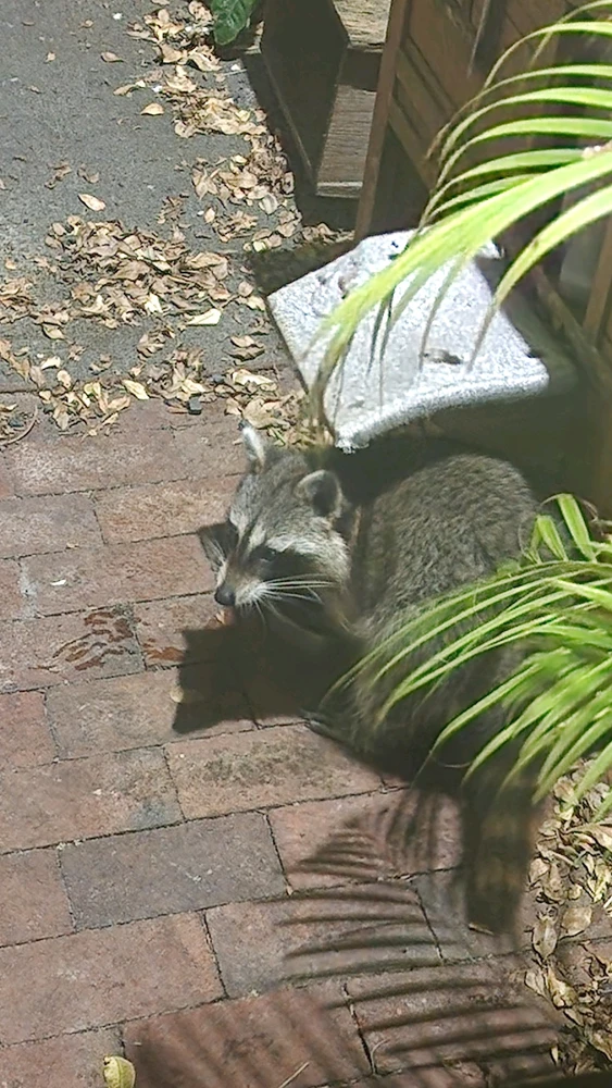 Image uploaded by Nel