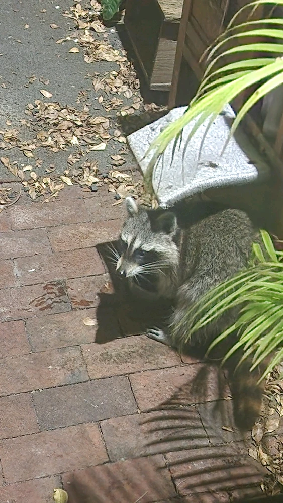 Image uploaded by Nel