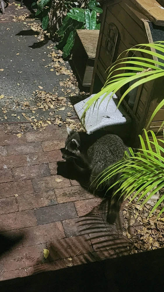 Image uploaded by Nel