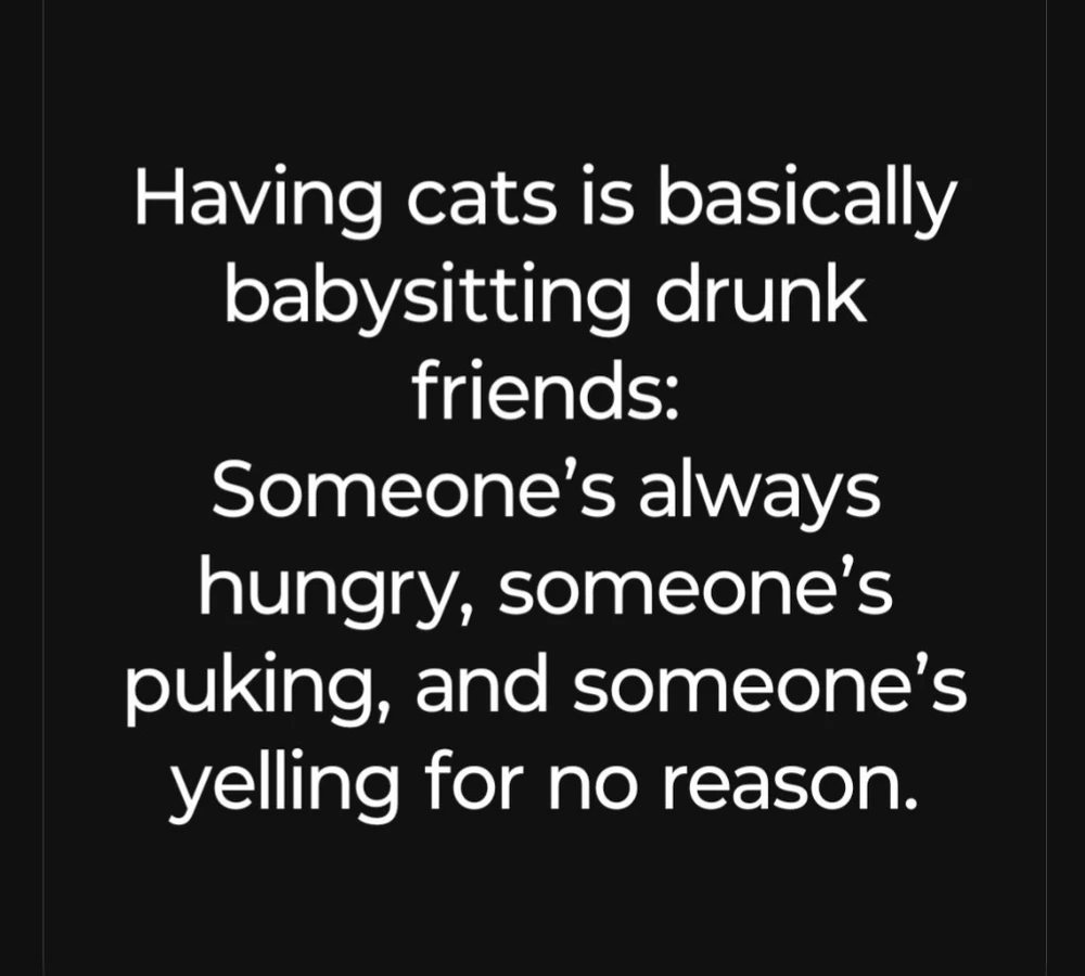 GIF uploaded by 🌙✨ℳℯ𝓁𝒶𝓃𝒾𝓆𝓊ℯ✨🌙