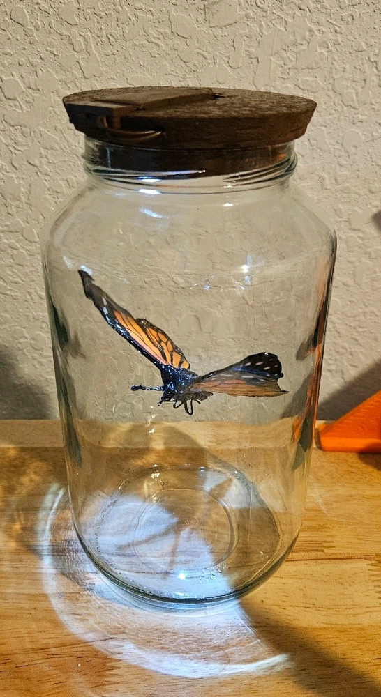 GIF uploaded by Cameren