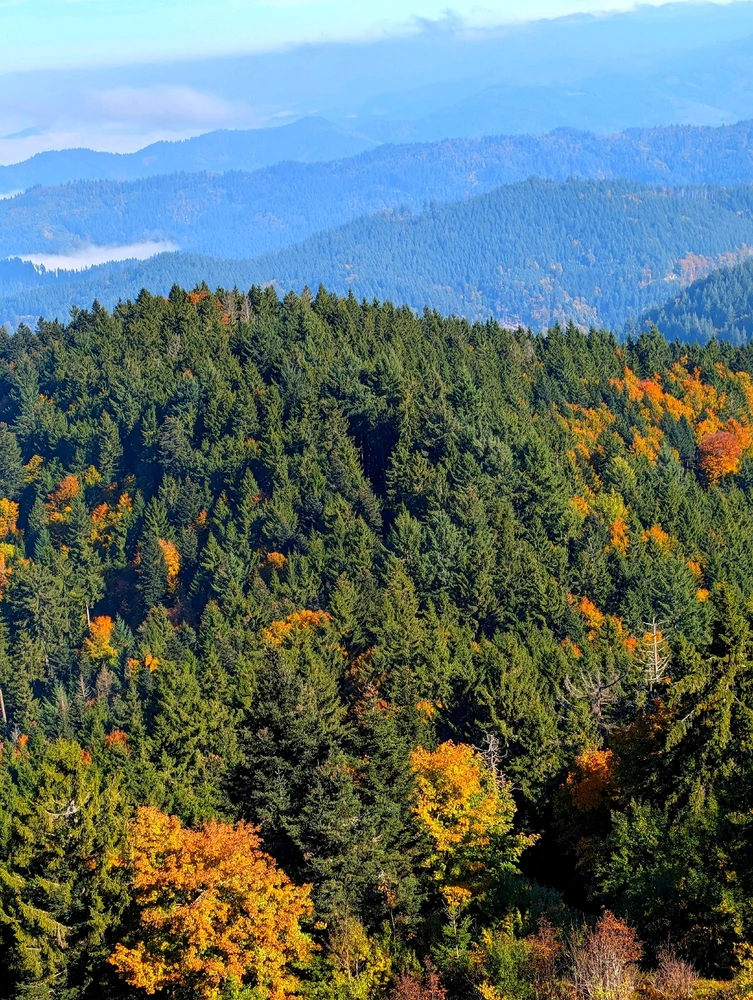 GIF uploaded by Braund